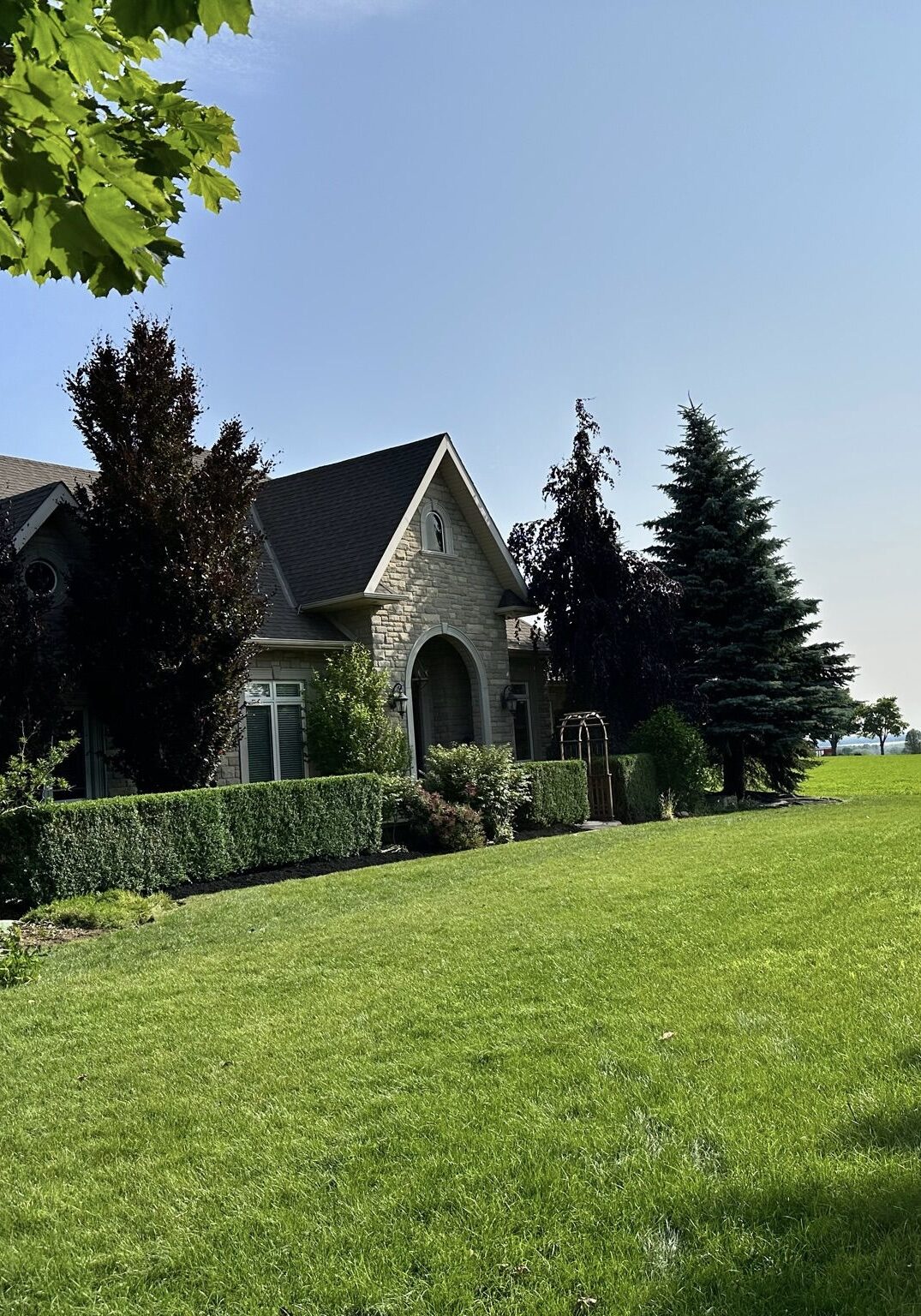 Lakefront Property Maintenance